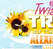 Twistys